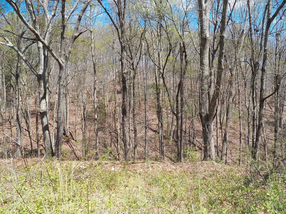 253 Howard Road Loudon, TN 37774 - Photo 27 of 31 133_0651