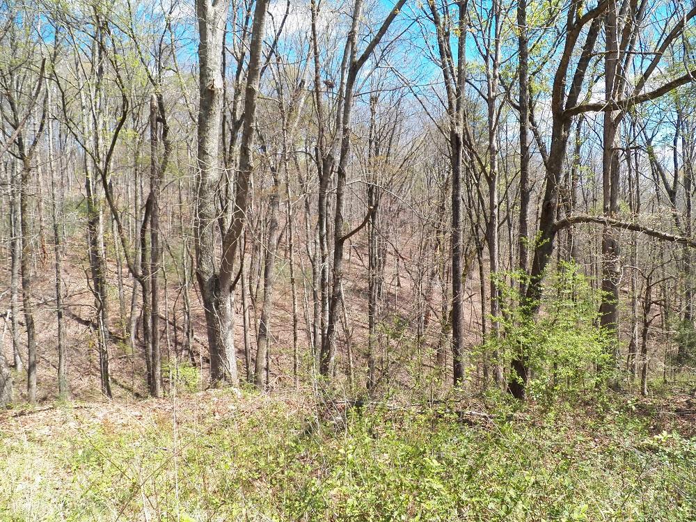 253 Howard Road Loudon, TN 37774 - Photo 28 of 31 133_0652