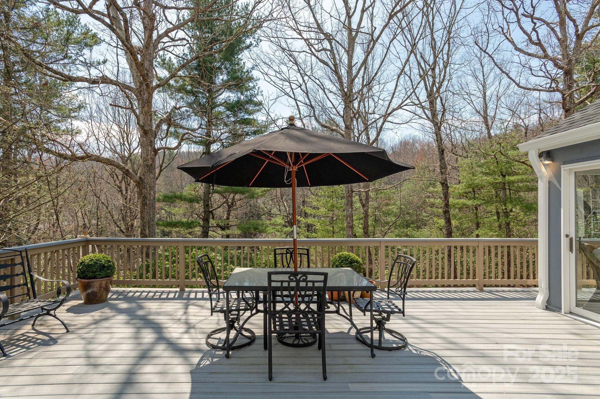 205 Greenleaf Drive Flat Rock, NC 28731 - Photo 15 of 48