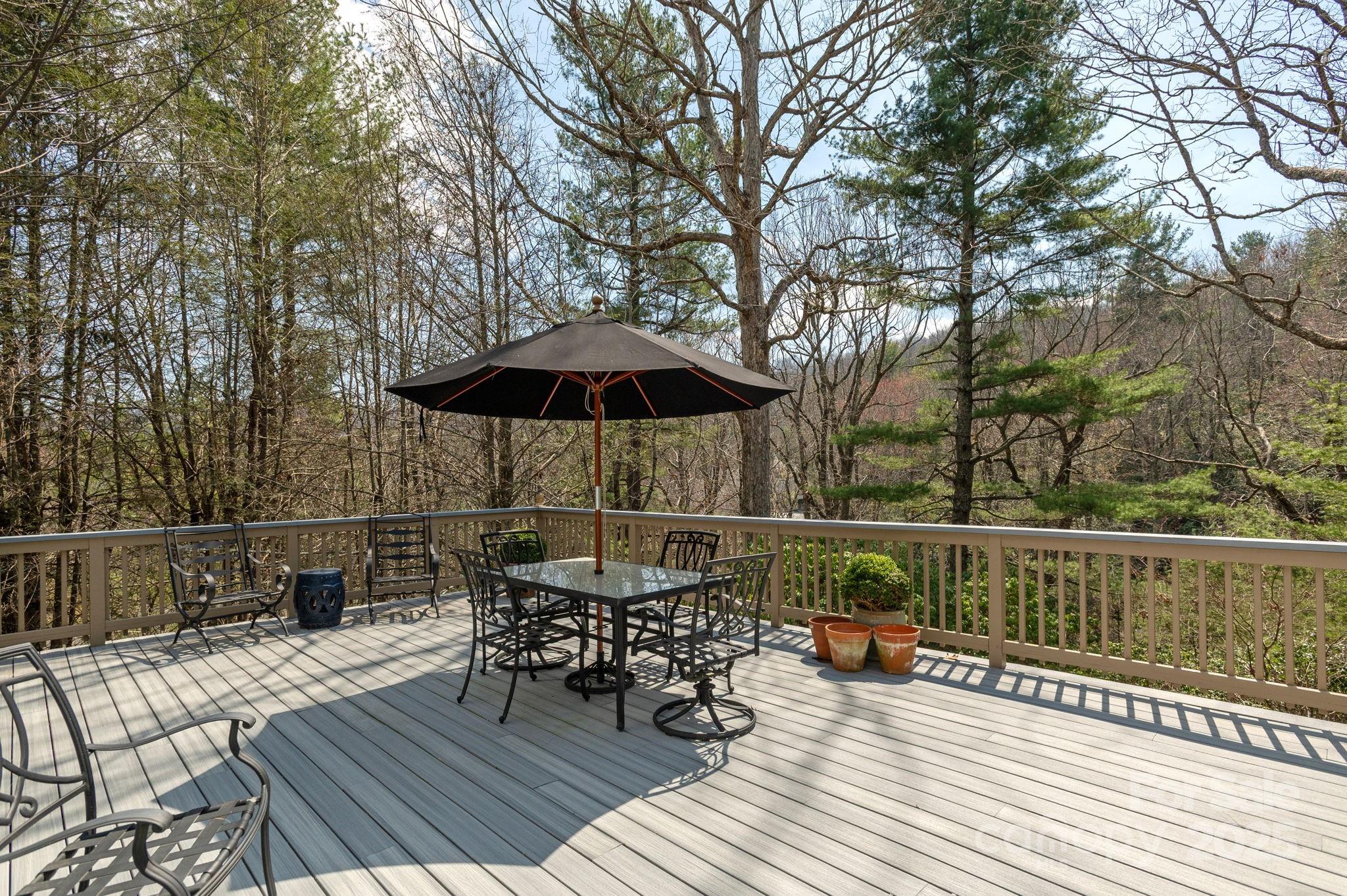 205 Greenleaf Drive Flat Rock, NC 28731 - Photo 16 of 48