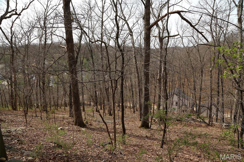 589 Wetherby Terrace Drive Ballwin, MO 63021 - Photo 41 of 43