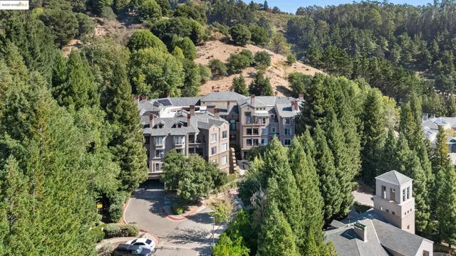 an aerial view of a house with a yard and tree s