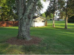 105 Laurel Road Bristol, TN 37620 - Photo 13 of 13 What a Back Yard