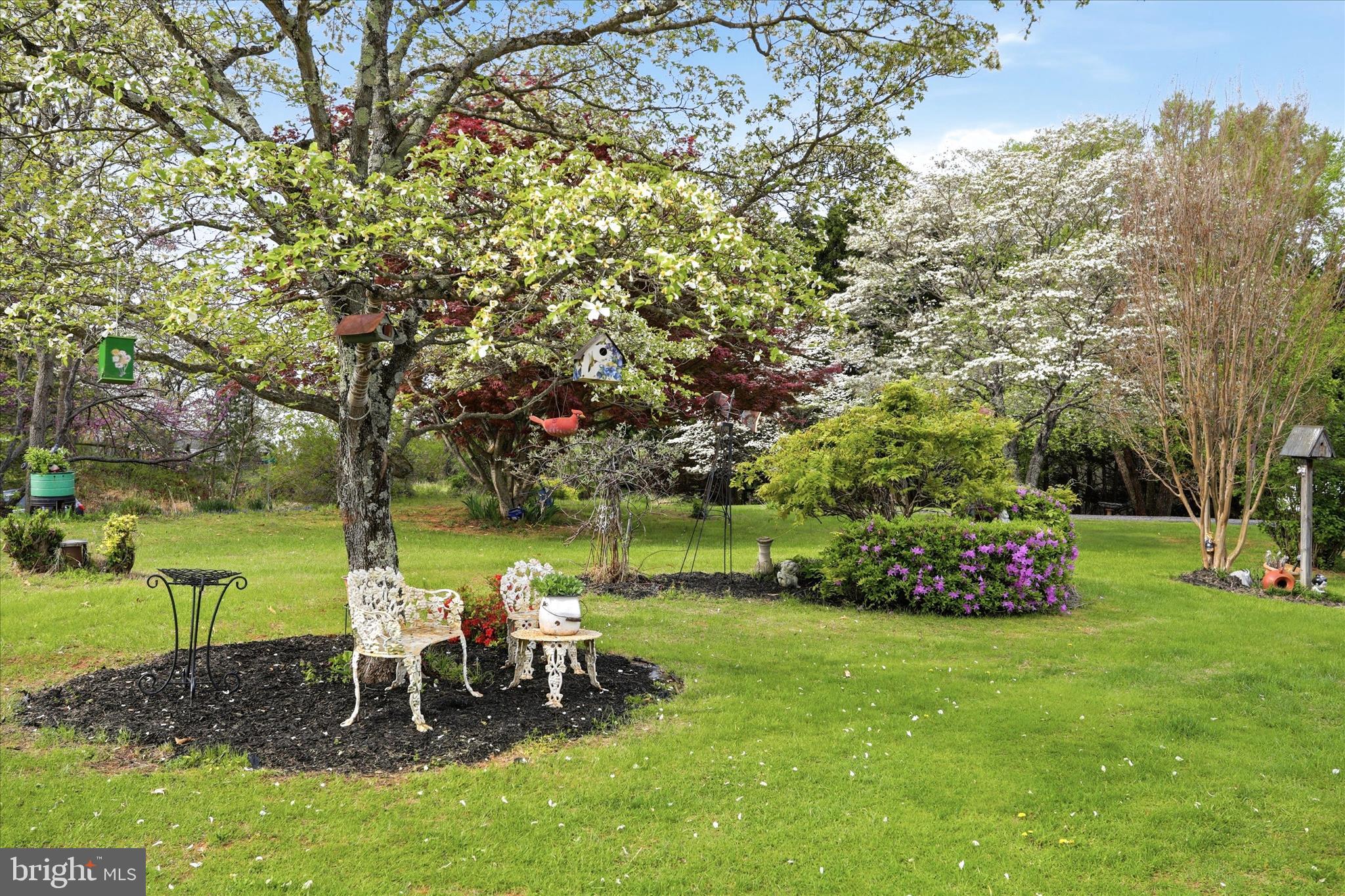 8117 Bailey Road Warrenton, VA 20186 - Photo 6 of 46