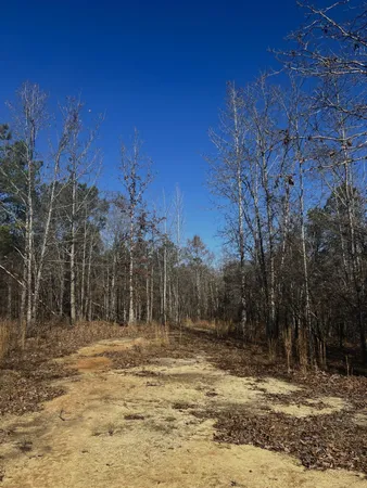 $275,000 | 6975 Highway 80 Keysville Ga 30816, Keysville, GA 30816