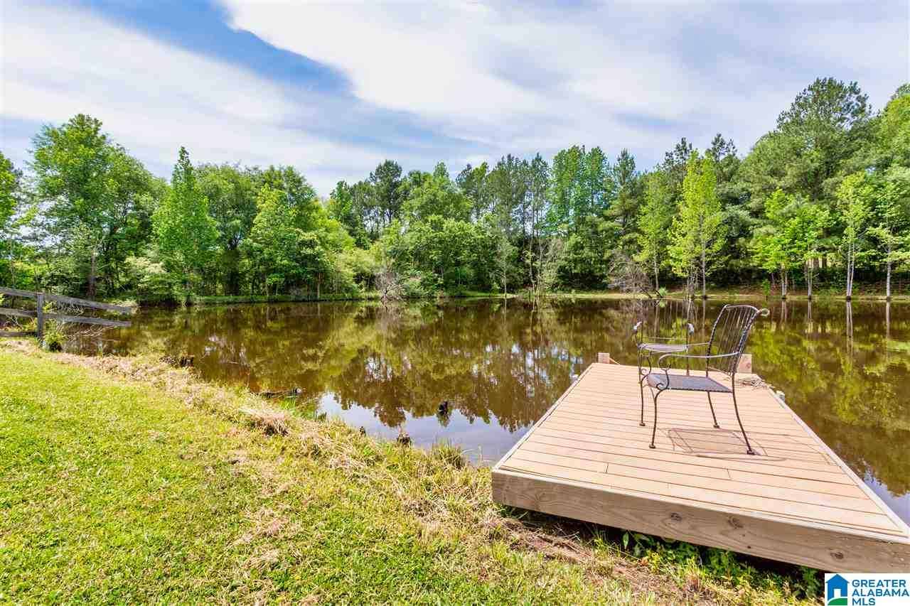 212 Highway 213 Calera Al Calera, AL 35040 - Photo 4 of 50