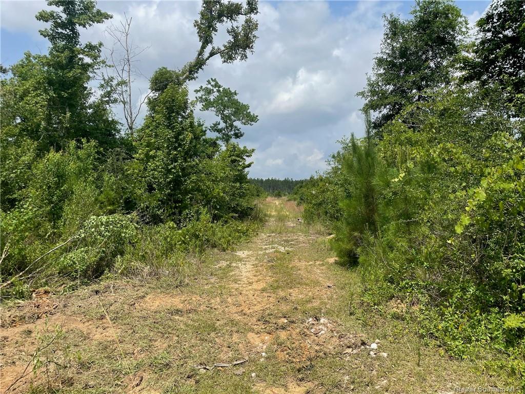 Pullin Road Ragley, LA 70657 - Photo 1 of 3