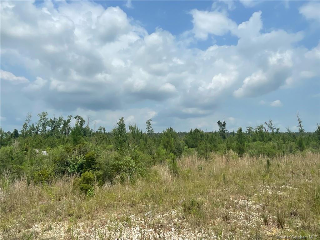 Pullin Road Ragley, LA 70657 - Photo 2 of 3