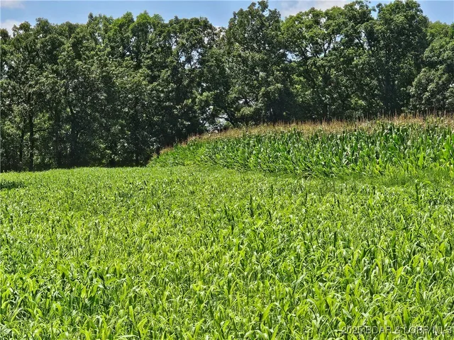 $160,000 | 25005 Beechnut Road, Stover, MO 65078