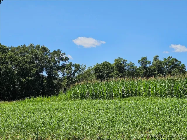 $160,000 | 25005 Beechnut Road, Stover, MO 65078