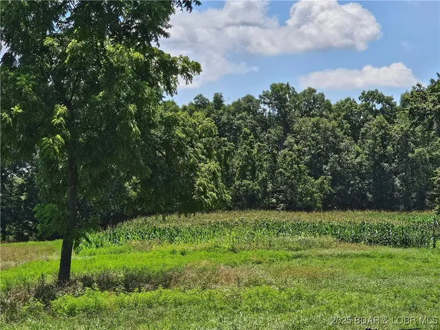 $160,000 | 25005 Beechnut Road, Stover, MO 65078