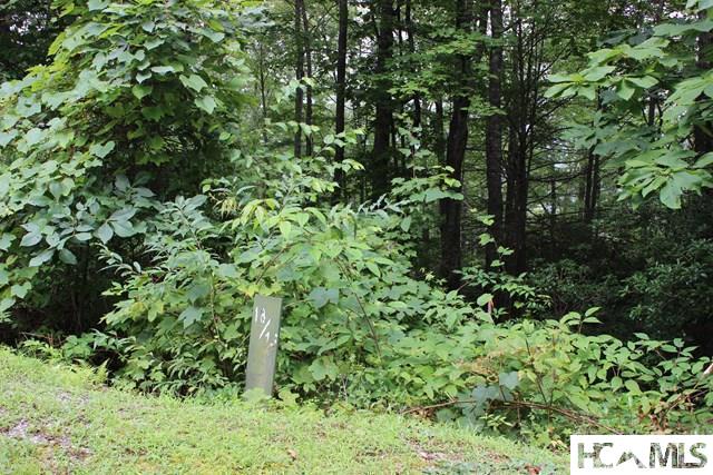 16 Whitewater Road Sapphire, NC 28774 - Photo 2 of 10 Gallery Image 2