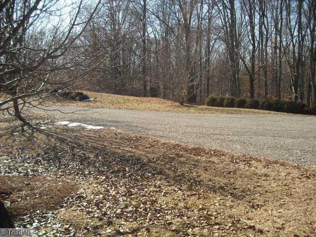 2320 Ray Loop Road Westfield, NC 27053 - Photo 4 of 16 Land/Lot.