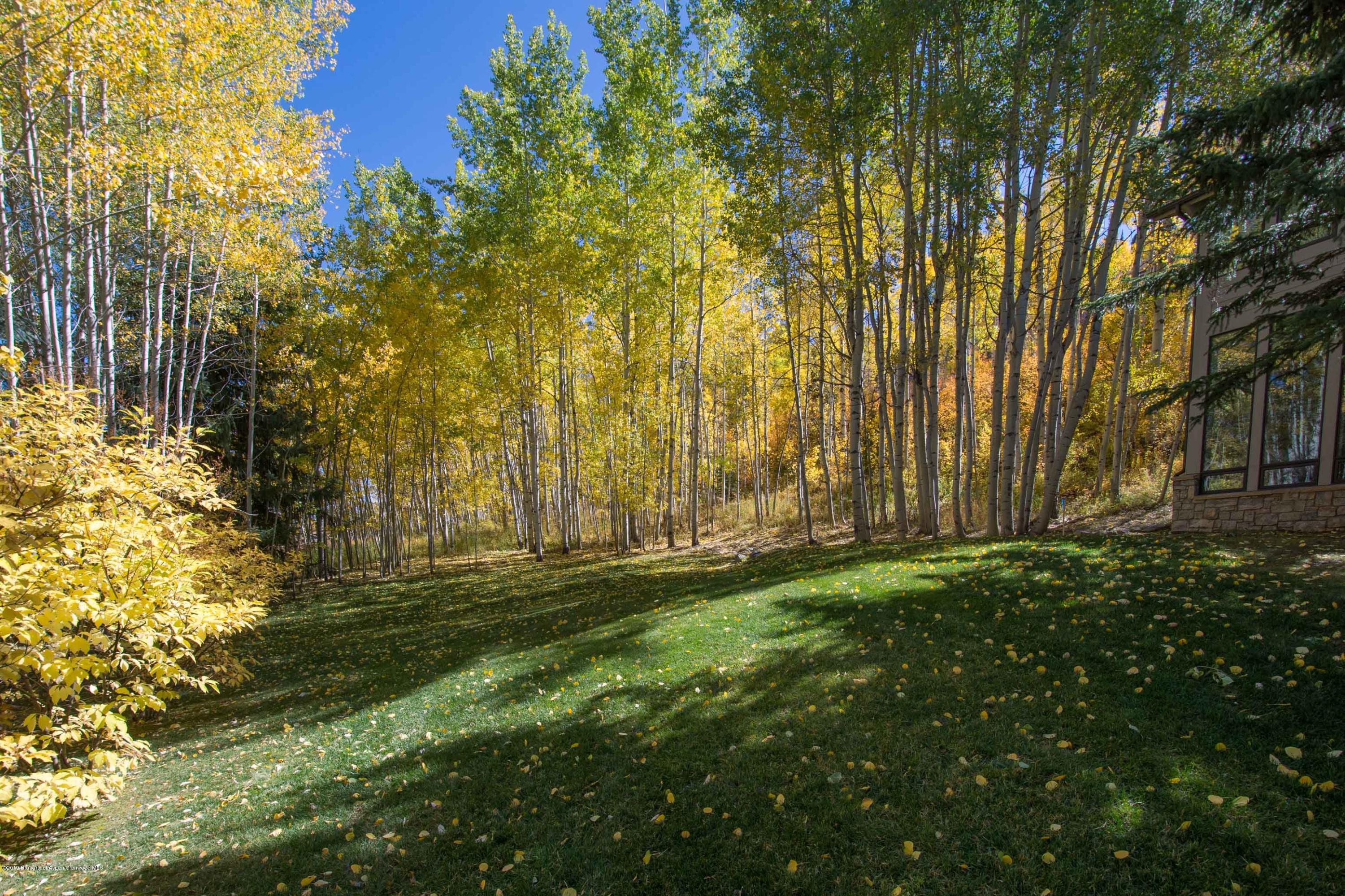 623 Faraway Road Snowmass Village, CO 81615 - Photo 25 of 30 a view of a yard with large trees