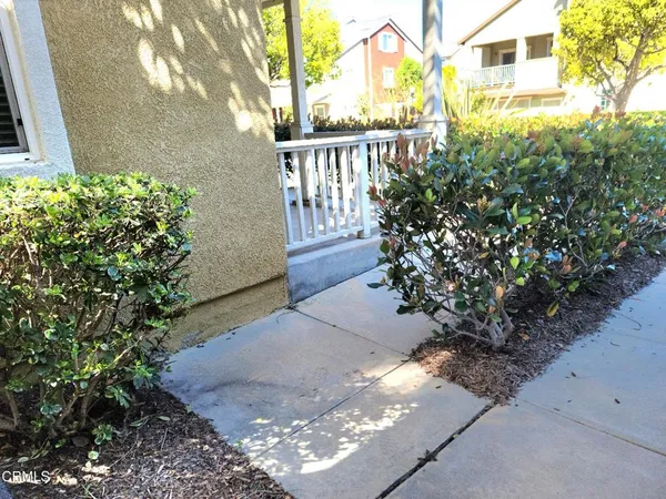 a view of a garden with pathway