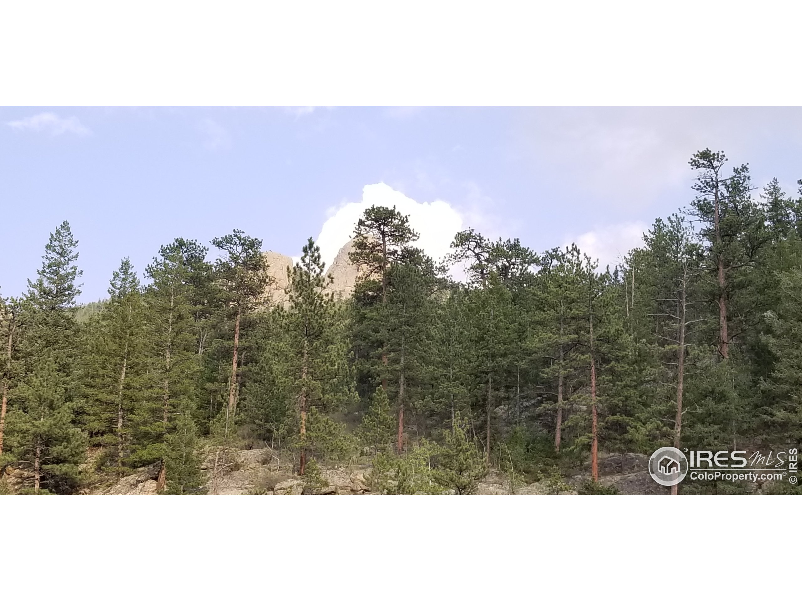 2301 Highway 34 Drake, CO 80515 - Photo 5 of 24