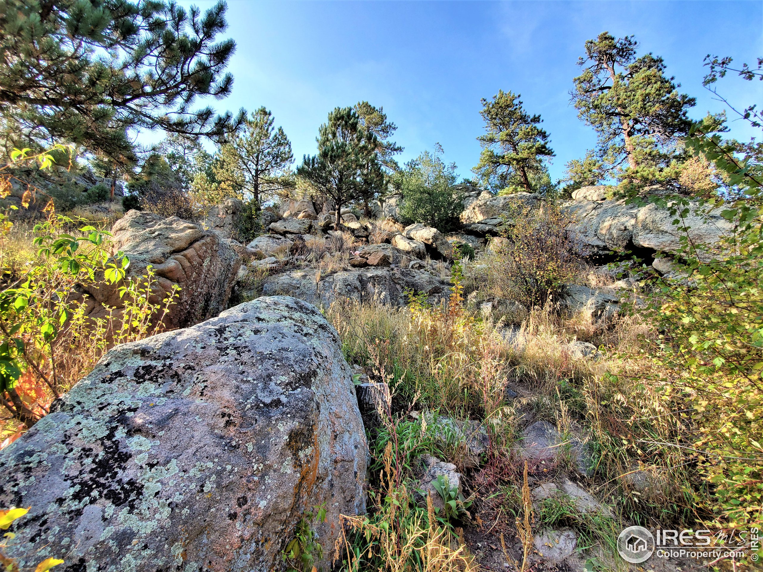 2301 Highway 34 Drake, CO 80515 - Photo 6 of 24