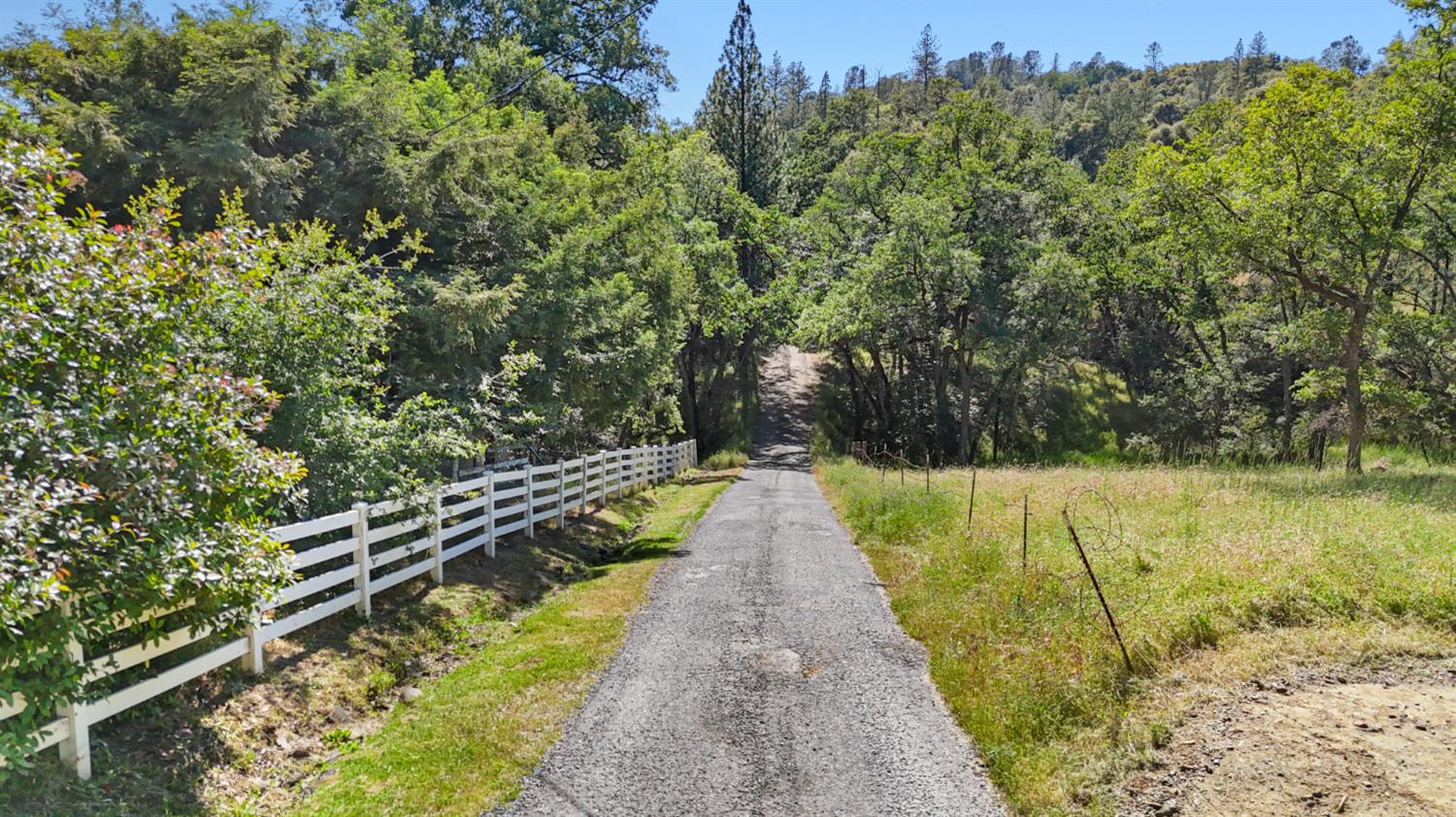 0 Hoot Owl Ravine Road Placerville, CA 95667 - Photo 20 of 20 a view of a swimming pool with a garden