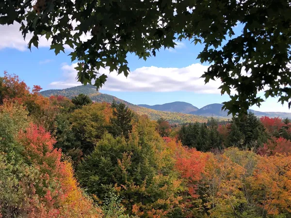 $500 | 46 Packard's Road, Unit 104 WEEK 28, Waterville Valley, NH 03215