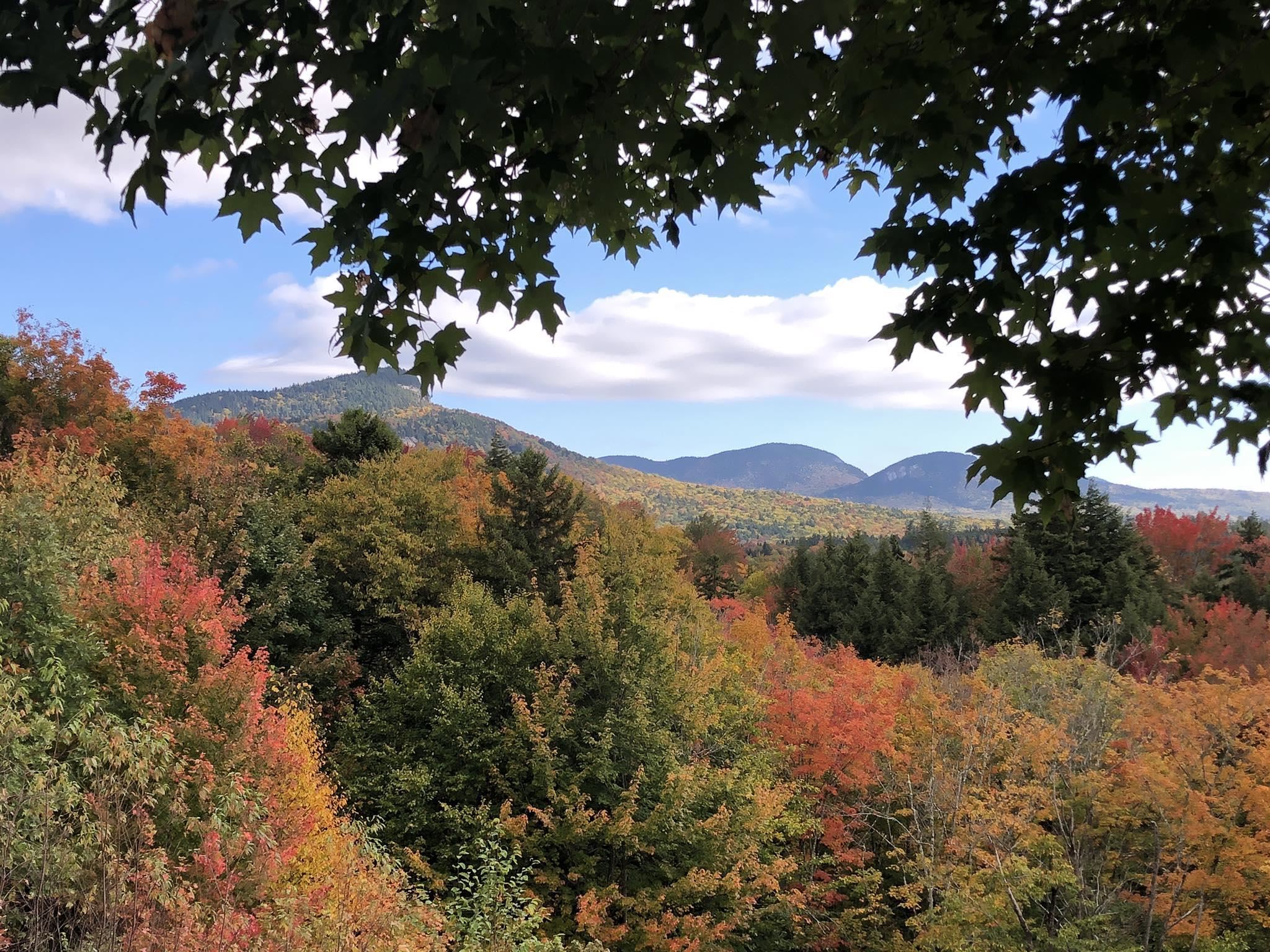 46 Packard's Road, Unit 104 WEEK 28 Waterville Valley, NH 03215 - Photo 32 of 38