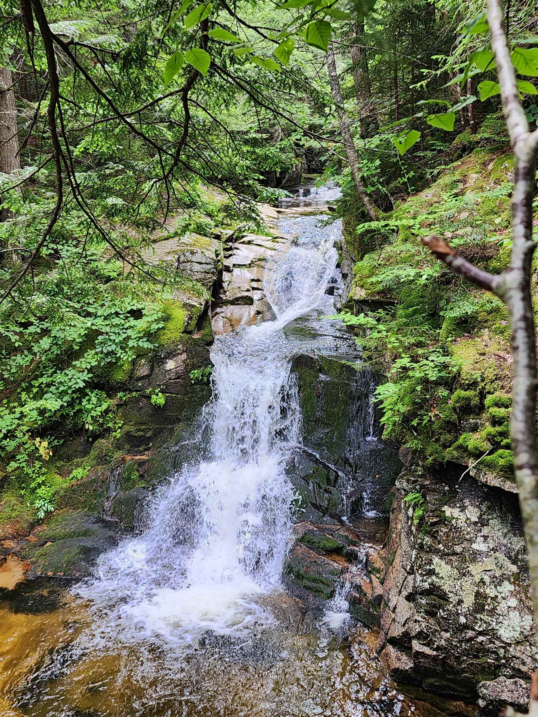 46 Packard's Road, Unit 104 WEEK 28 Waterville Valley, NH 03215 - Photo 35 of 38