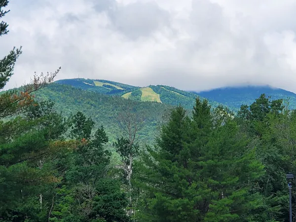 $500 | 46 Packard's Road, Unit 104 WEEK 28, Waterville Valley, NH 03215