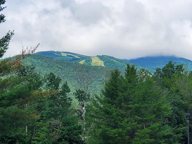 $500 | 46 Packard's Road, Unit 104 WEEK 28, Waterville Valley, NH 03215