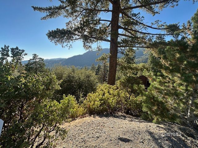 Howland Road Idyllwild, CA 92549 - Photo 14 of 16 a view of a tree in a yard