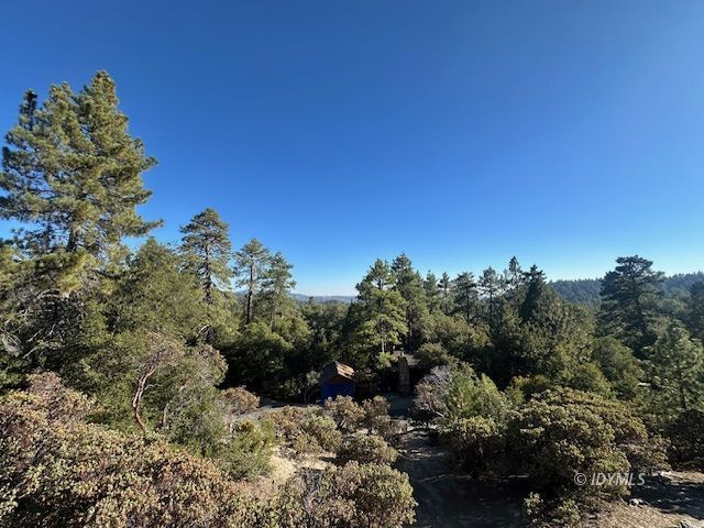 Howland Road Idyllwild, CA 92549 - Photo 2 of 16 a view of a covered with trees in a background