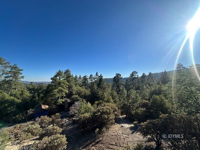 Howland Road Idyllwild, CA 92549 - Photo 3 of 16 a view of a city with lush green forest