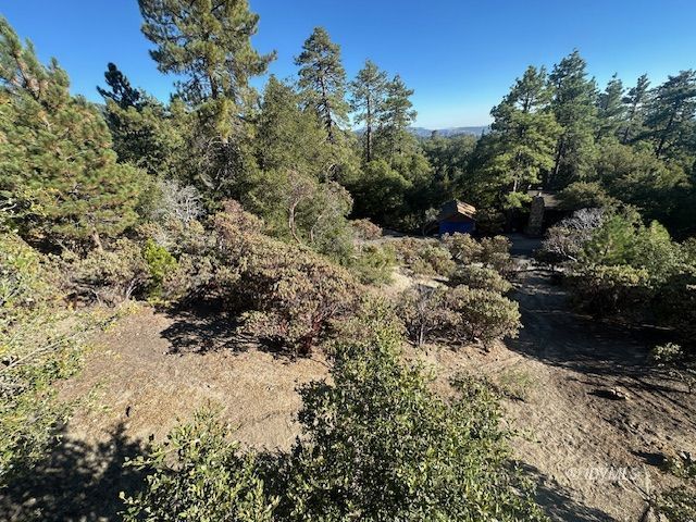 Howland Road Idyllwild, CA 92549 - Photo 4 of 16 a view of a yard with a tree