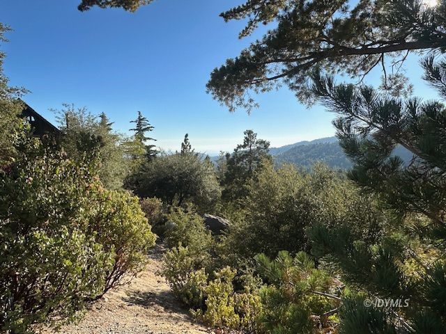 Howland Road Idyllwild, CA 92549 - Photo 8 of 16 a view of a tree in a field with a tree
