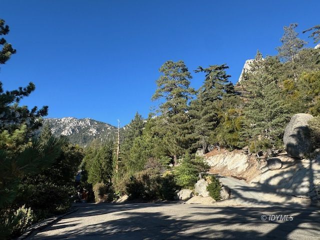 Howland Road Idyllwild, CA 92549 - Photo 10 of 16 a view of a tree with a yard