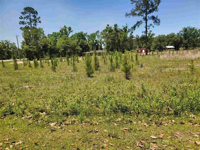 Lot 1 Southwest Azalea Street Bristol, FL 32321 - Photo 1 of 1 Gallery Image 1