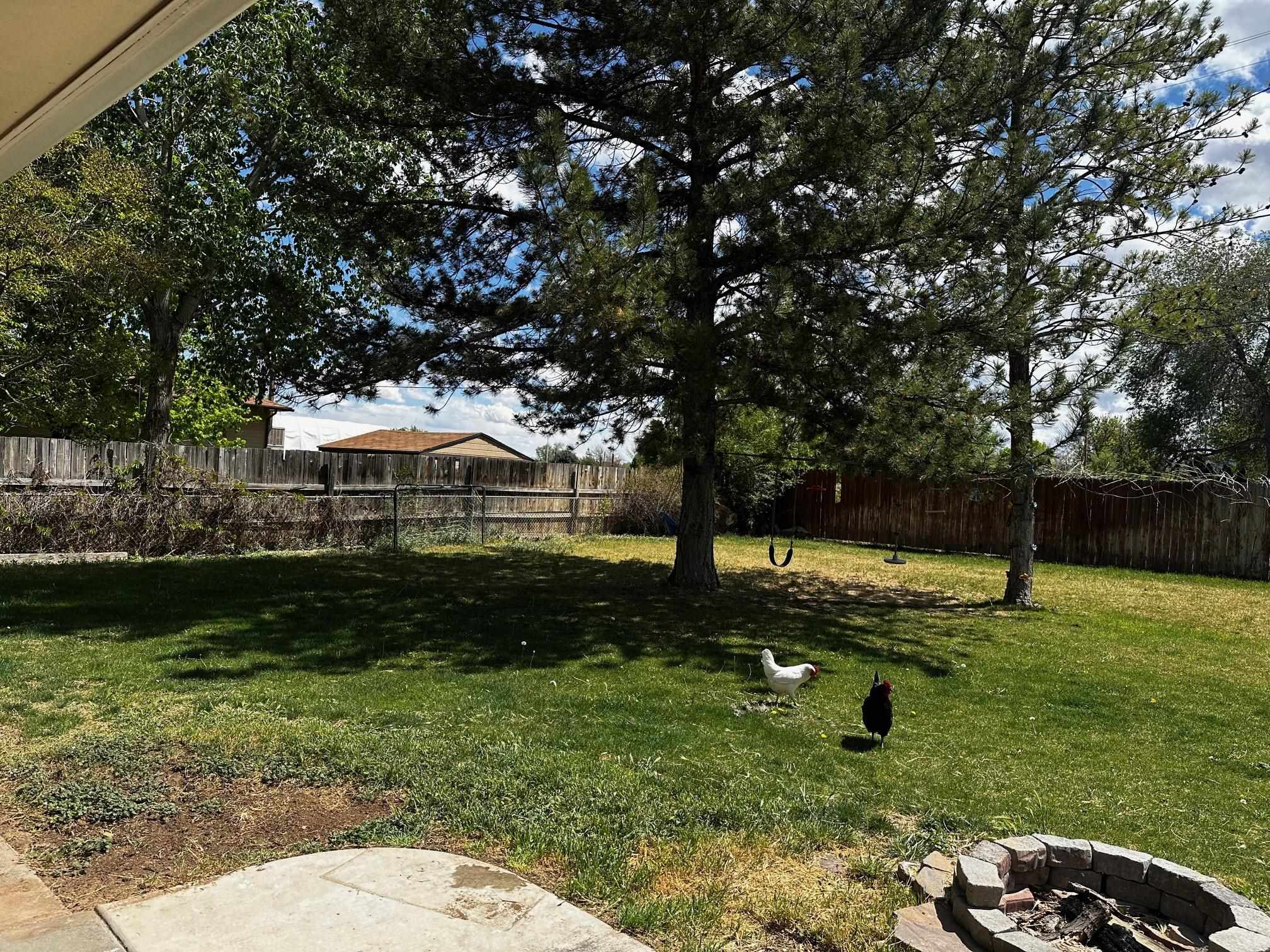 2109 Zion Road Grand Junction, CO 81507 - Photo 29 of 34