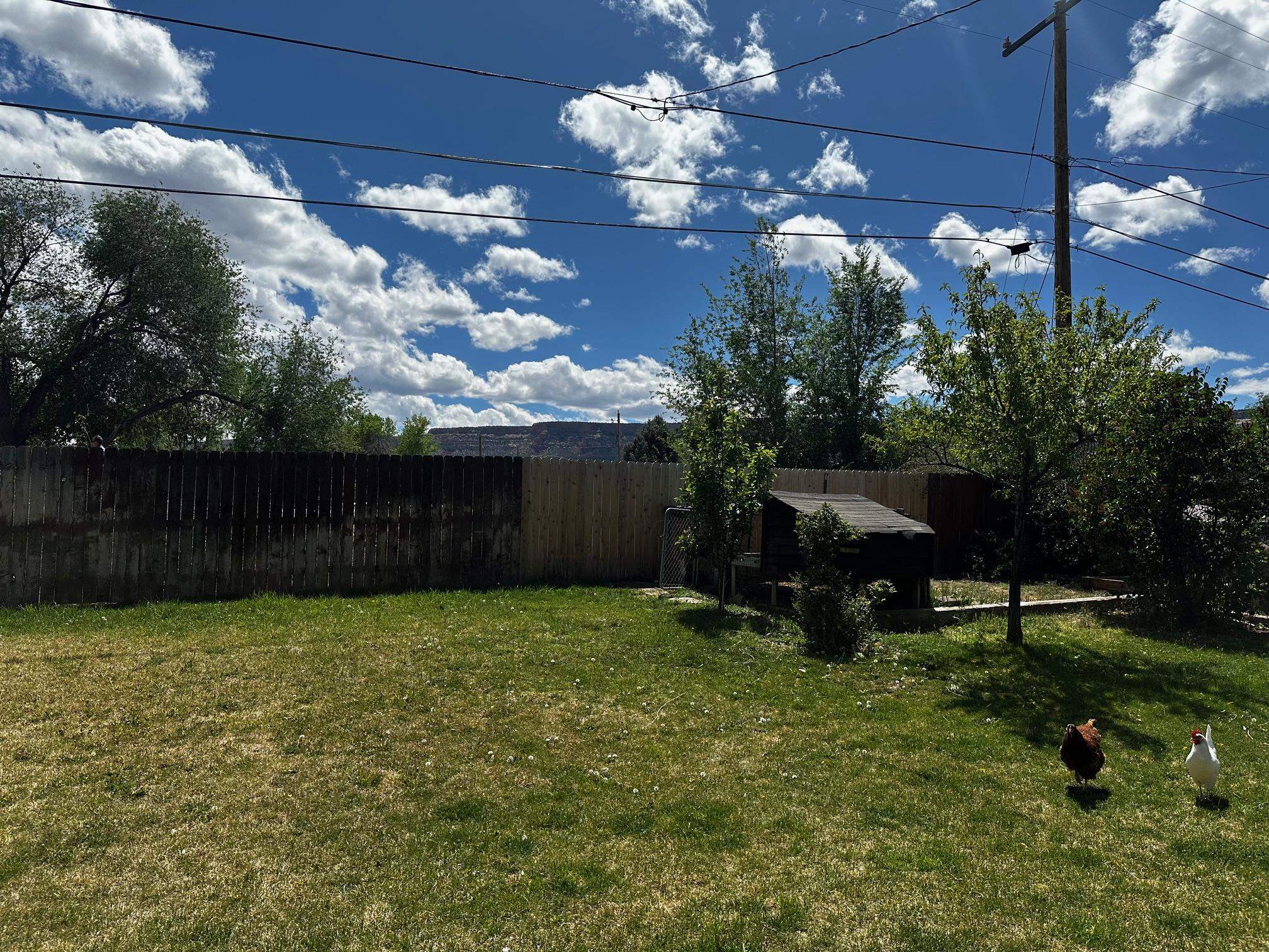 2109 Zion Road Grand Junction, CO 81507 - Photo 32 of 34