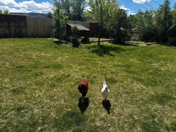 $418,000 | 2109 Zion Road, Grand Junction, CO 81507
