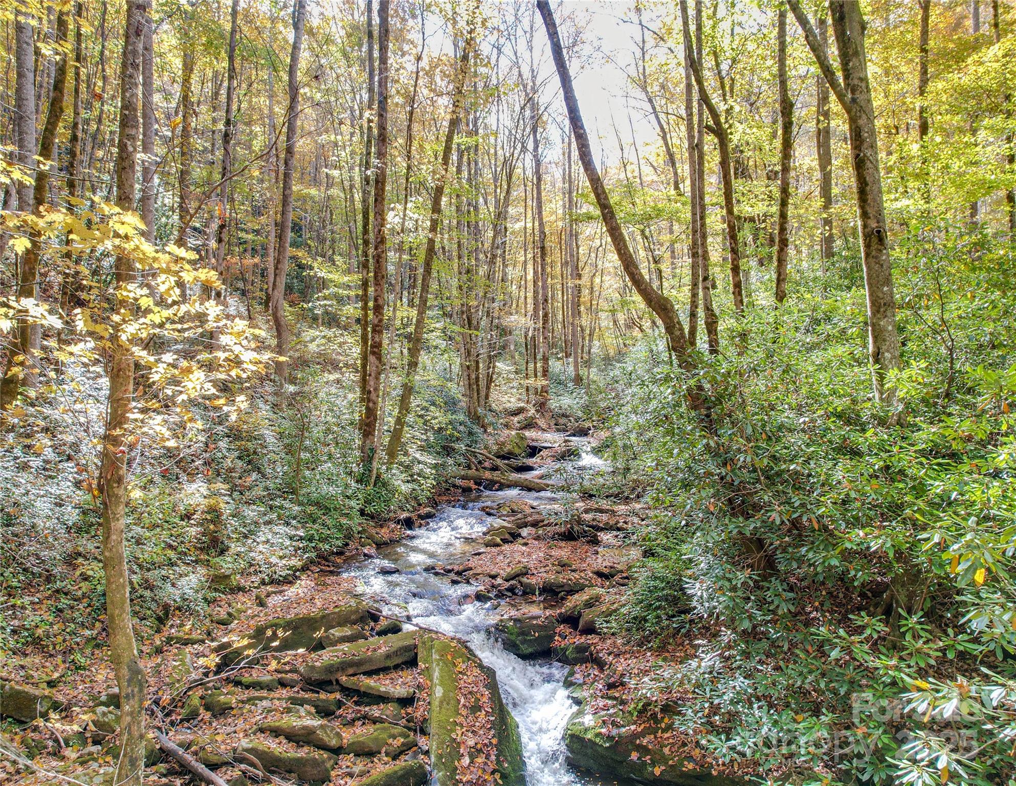 0 Unahala Creek Road Bryson City, NC 28713 - Photo 11 of 19 a view of forest