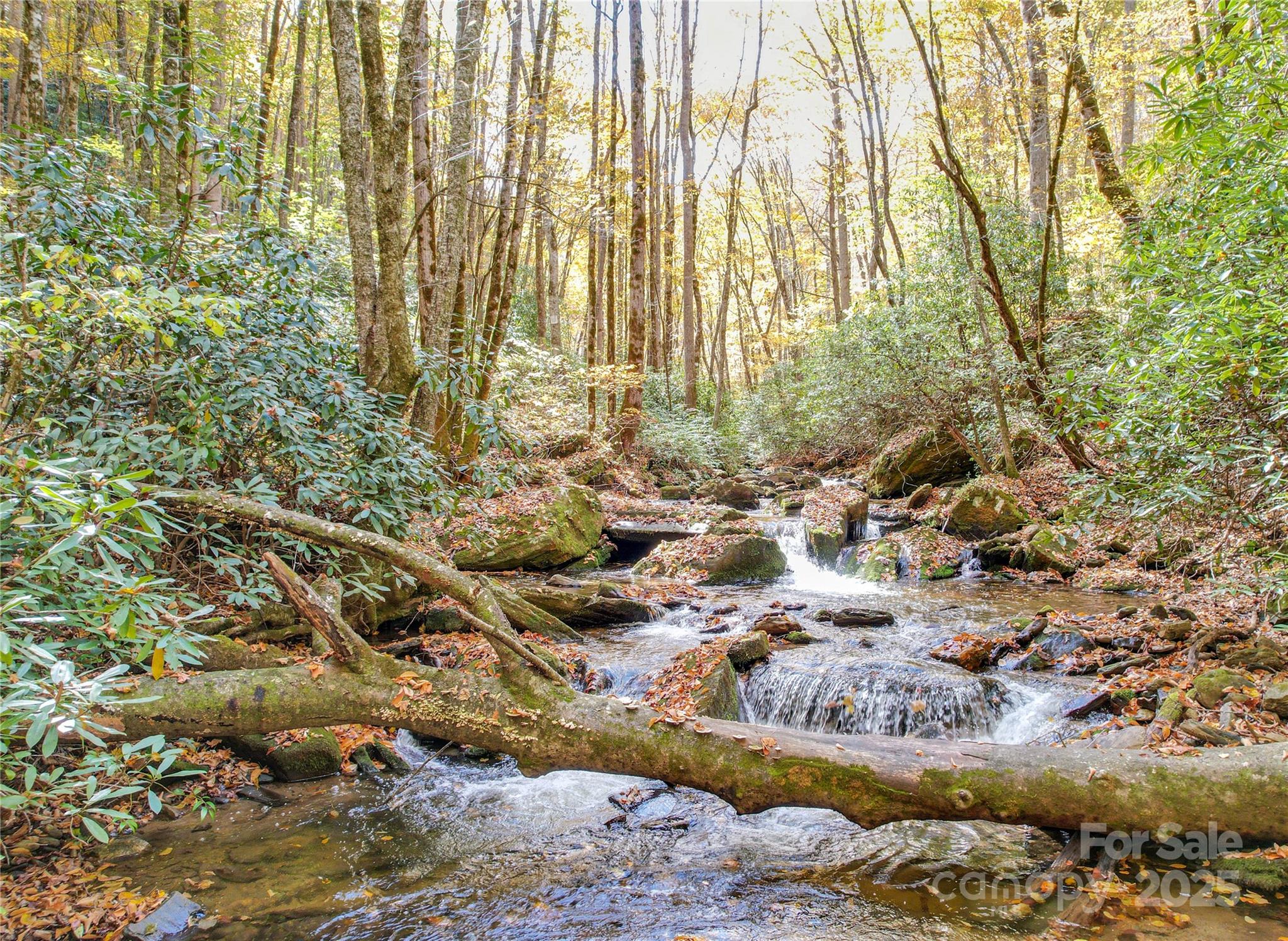 0 Unahala Creek Road Bryson City, NC 28713 - Photo 15 of 19 a view of a bunch of trees and bushes