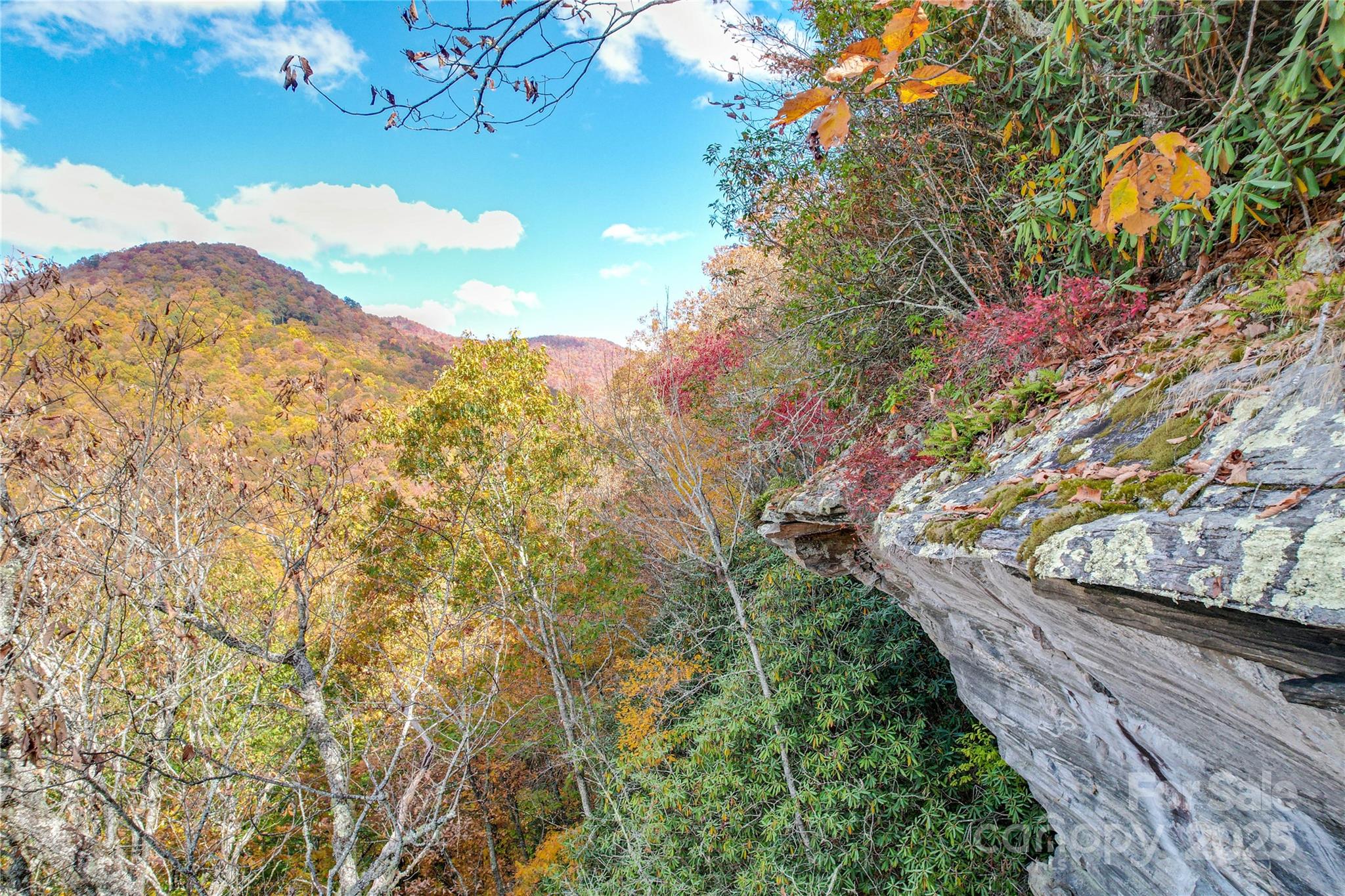 0 Unahala Creek Road Bryson City, NC 28713 - Photo 17 of 19 a view of a yard