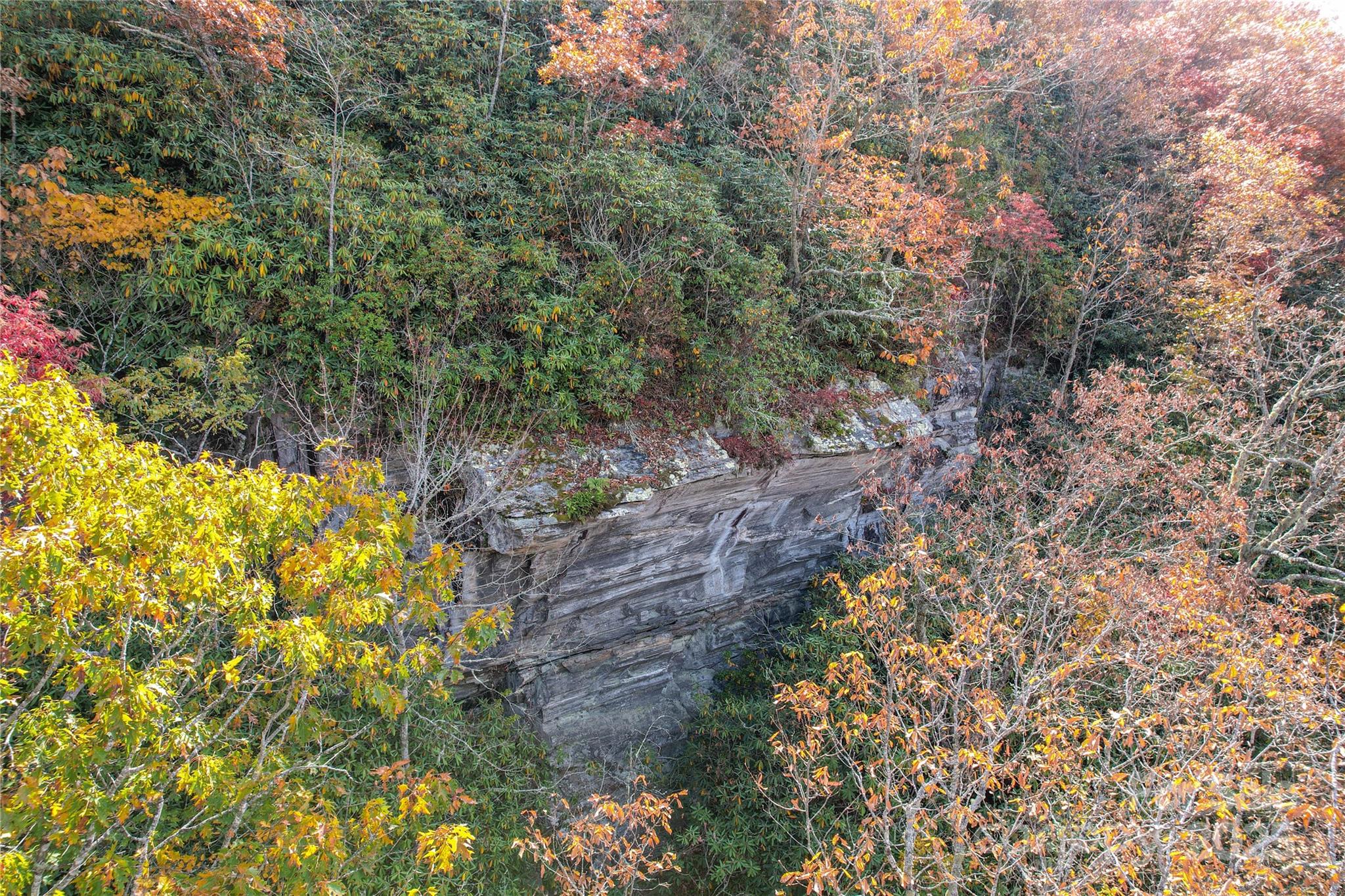 0 Unahala Creek Road Bryson City, NC 28713 - Photo 19 of 19 a view of a garden with plants and large trees