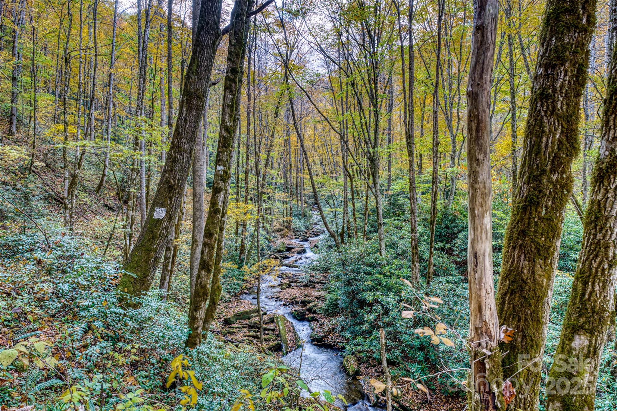0 Unahala Creek Road Bryson City, NC 28713 - Photo 2 of 19 a view of a garden