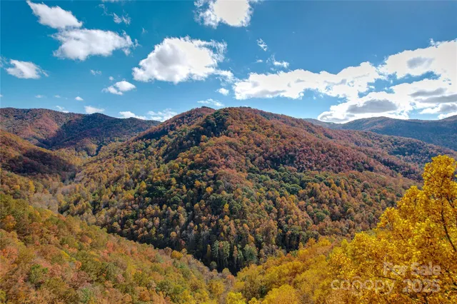 a view of a flower in between the wall