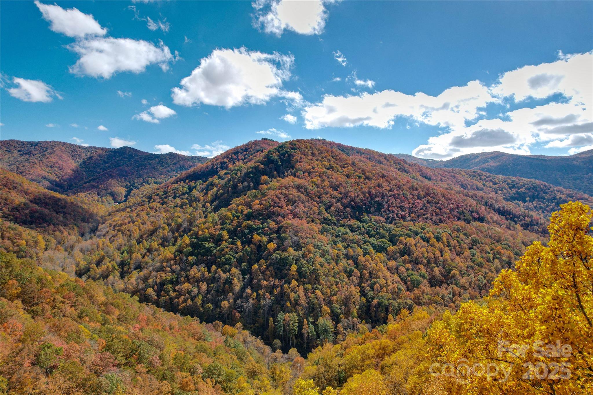 0 Unahala Creek Road Bryson City, NC 28713 - Photo 4 of 19 a view of a flower in between the wall