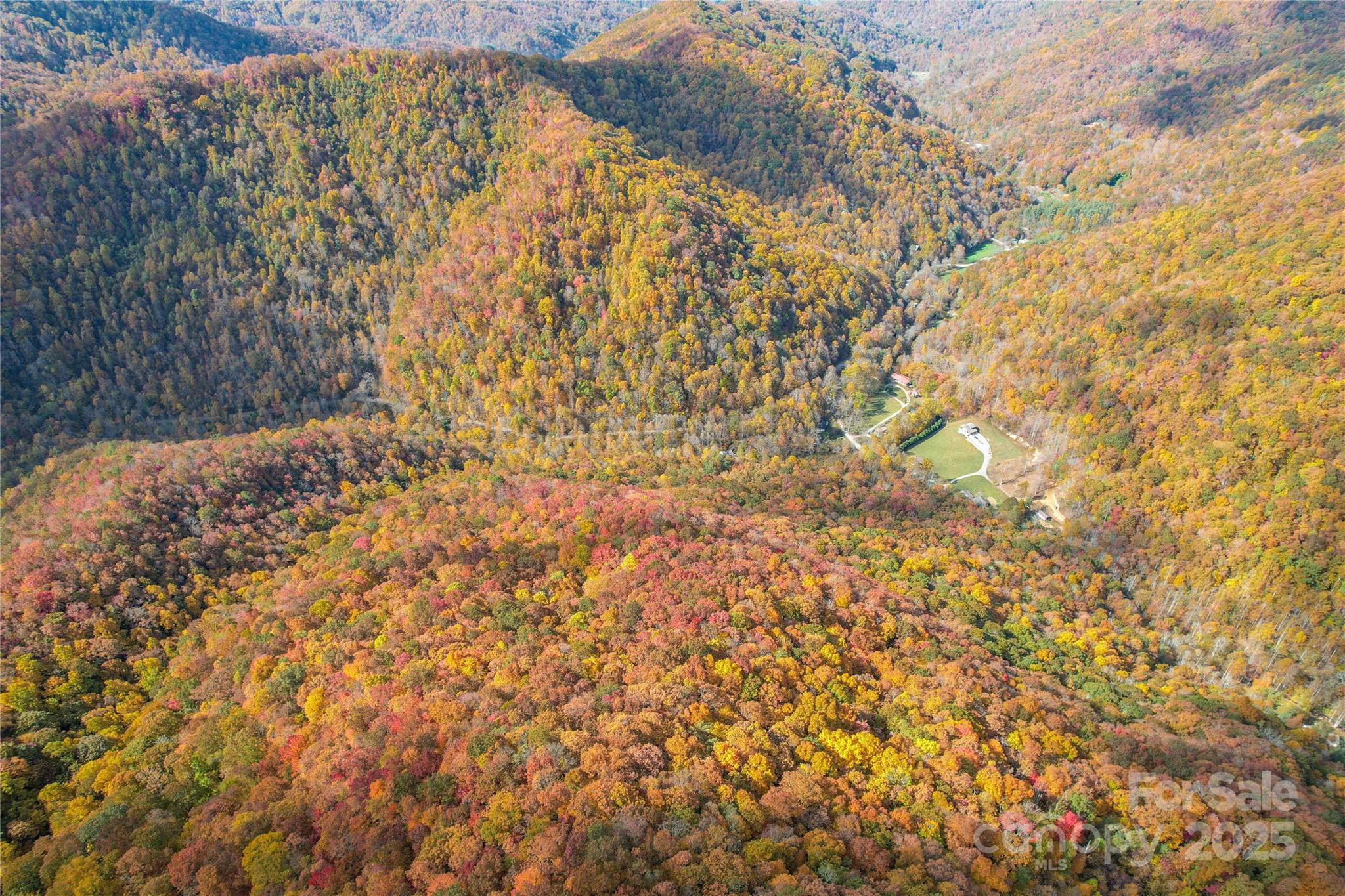0 Unahala Creek Road Bryson City, NC 28713 - Photo 5 of 19
