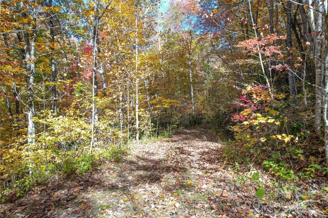 a picture of flowers