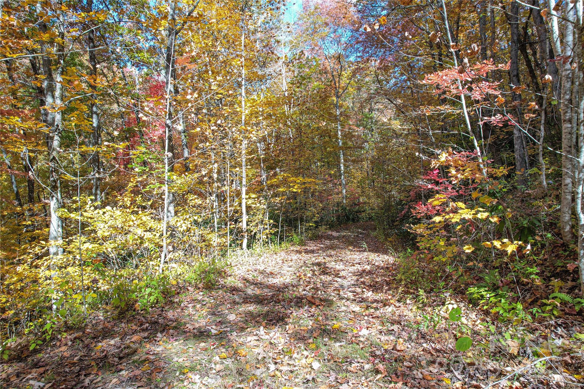 0 Unahala Creek Road Bryson City, NC 28713 - Photo 8 of 19
