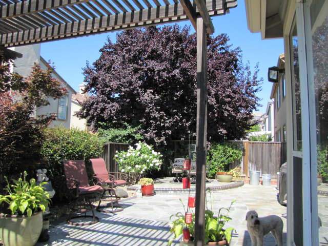 3013 Fowler Road San Jose, CA 95135 - Photo 11 of 25 Gallery Image 11