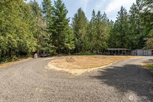 a view of backyard with large trees