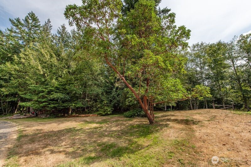 572 Critter Country Trail Sequim, WA 98382 - Photo 35 of 40
